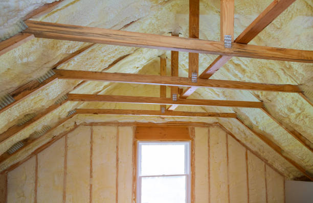 Best Insulation Installation Services in Harrisonville, MO