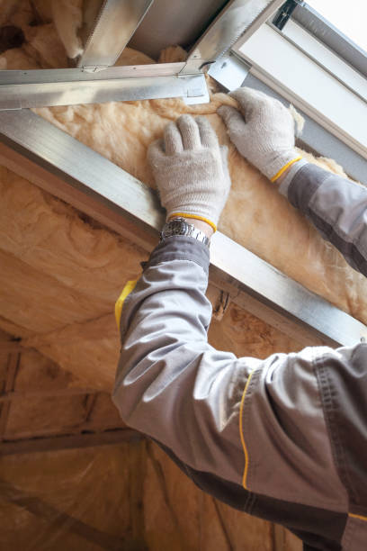 Best Insulation Installation Services in Harrisonville, MO